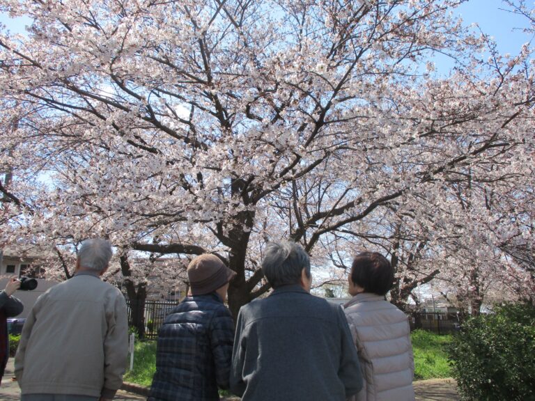 お花見